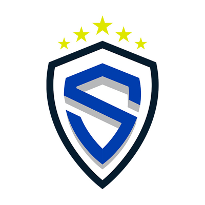logo-dallas-sting